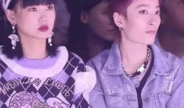 娱乐圈爆料顶流小说,揭秘顶流小说背后的秘密