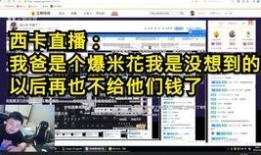 西藏直播爆料视频,带你领略神秘高原的直播现场